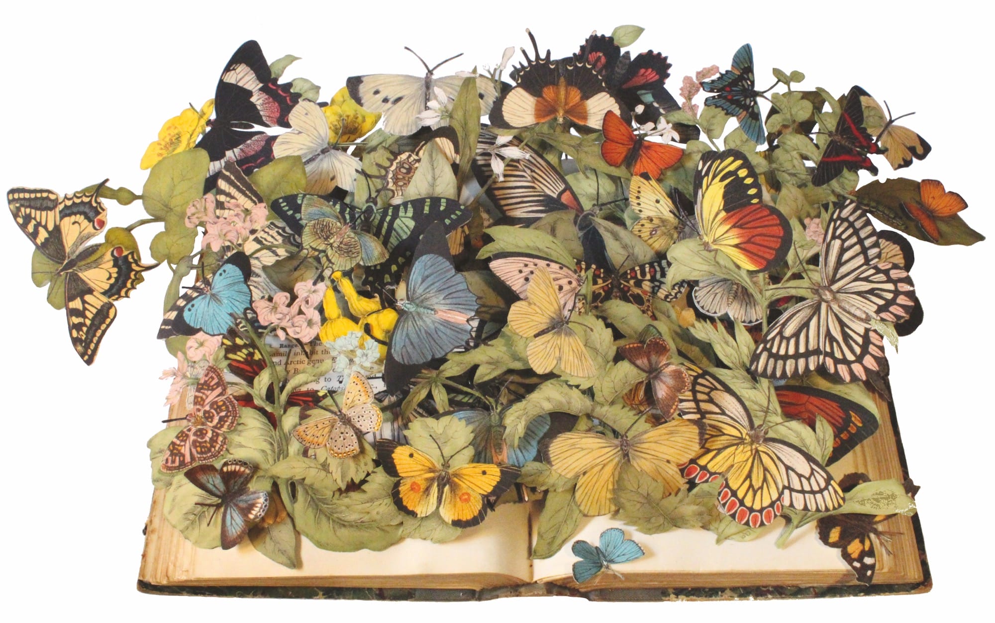 an elaborate sculpture by Kerry Miller resembling a pop-up book featuring numerous butterflies