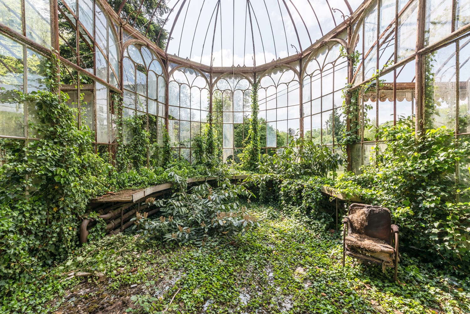 a photograph by Romain Veillon of the interior of an abandoned greenhouse overtaken by dense, rollicking vegetation
