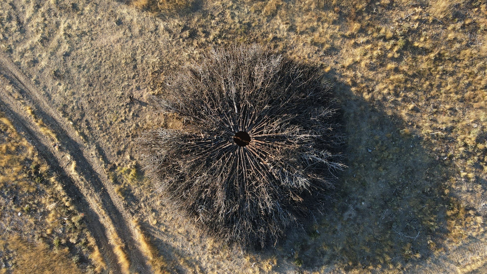 an aerial view of a round sculpture by Nomad Studio