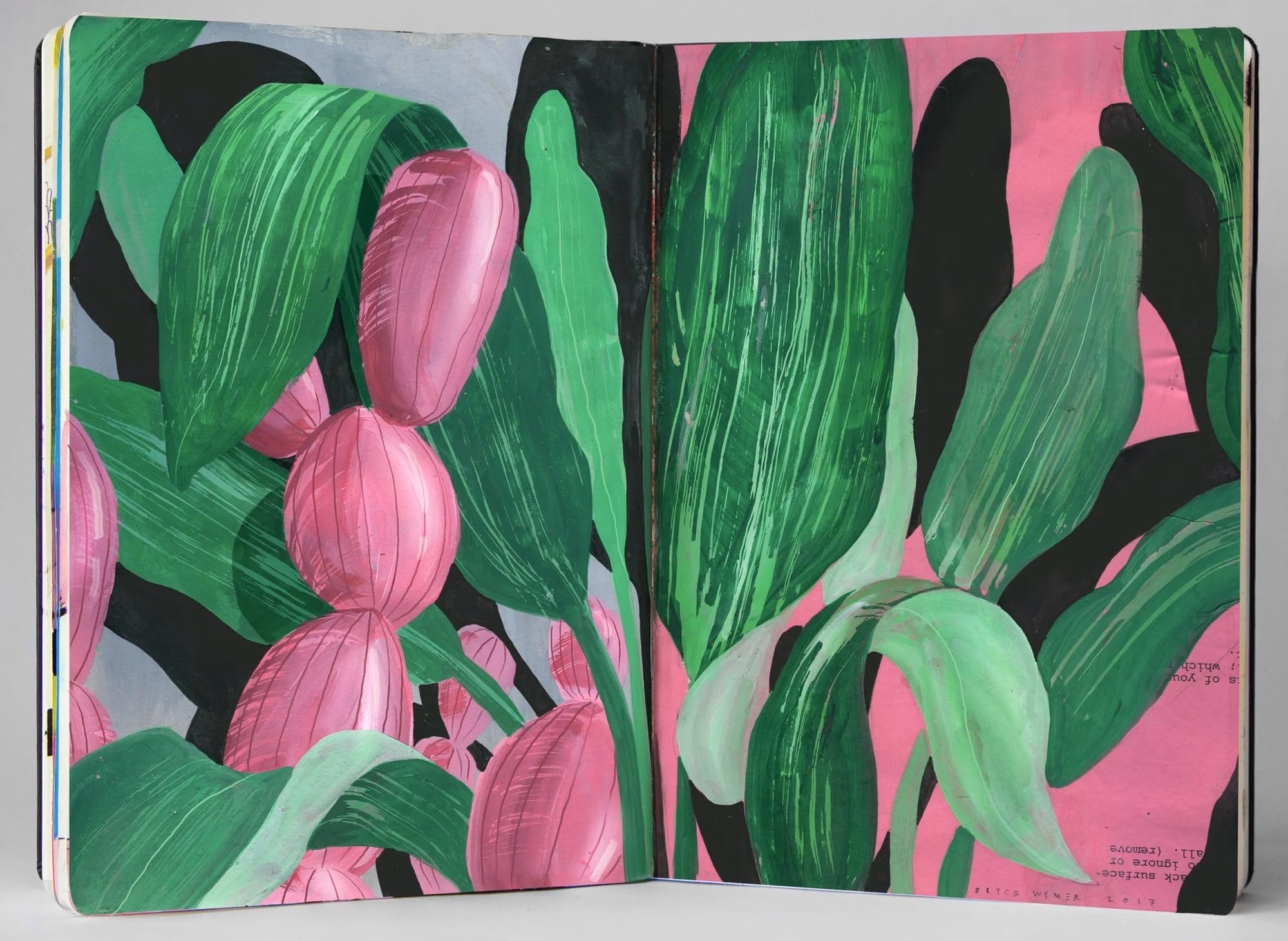 a sketchbook spread by Bryce Wymer of an abstract tropical plant