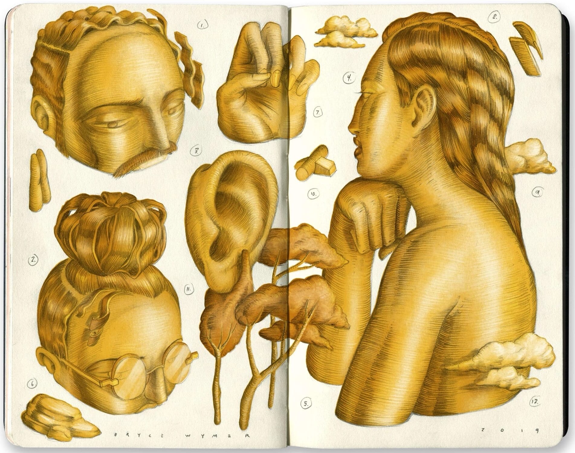 a sketchbook spread of gold-colored fragments of the human body, including an ear, hand, face, and shoulder and neck